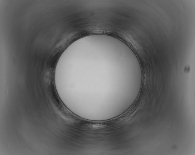 X0000091010165200708021414
