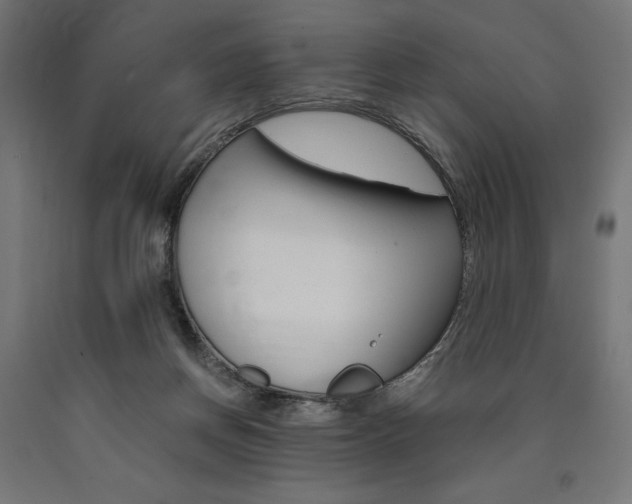 X0000091010166200708021414