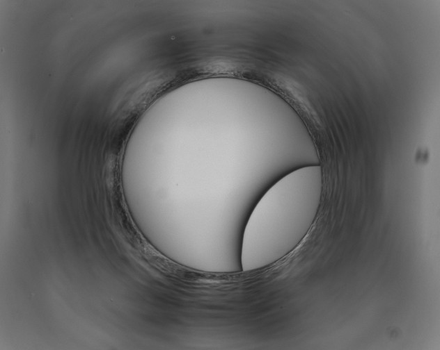X0000091010167200708021414