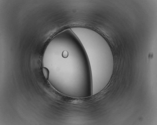 X0000091010168200708021414