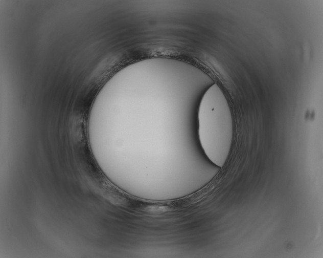 X0000091010169200708021414
