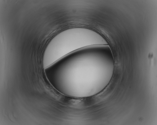 X0000091010170200708021414