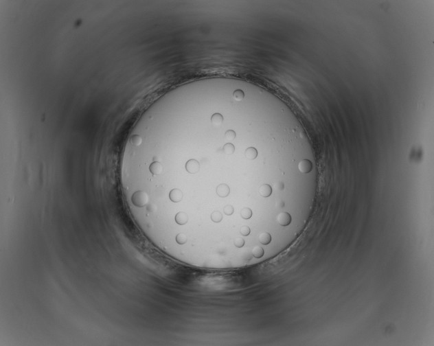 X0000091010171200708021414