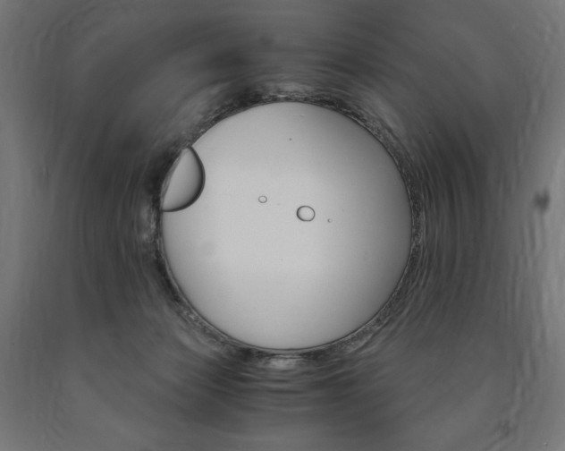 X0000091010173200708021414