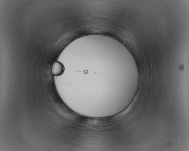 X0000091010174200708021414