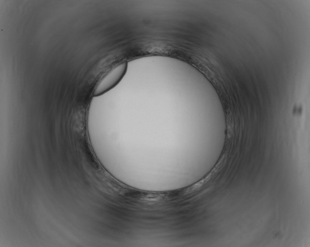 X0000091010175200708021414