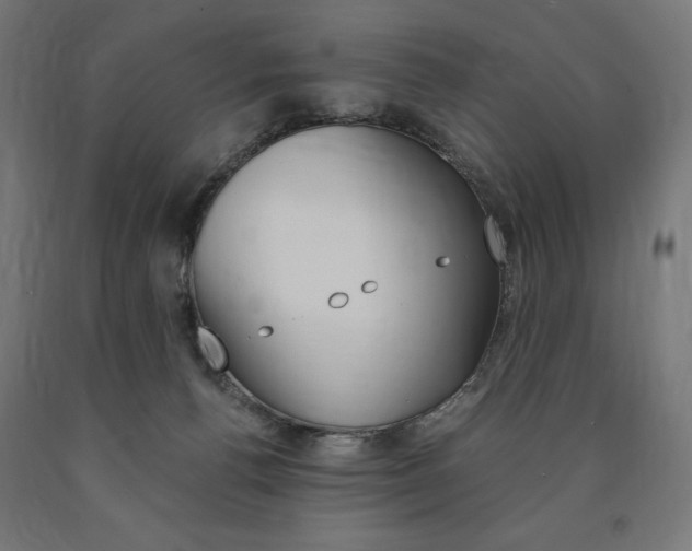 X0000091010176200708021414