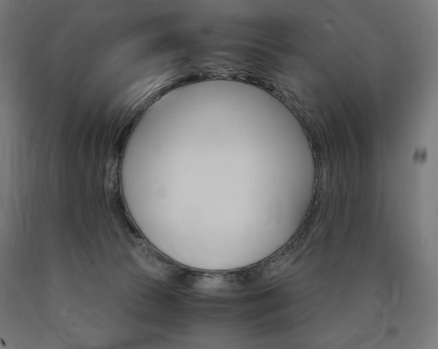 X0000091010177200708021414