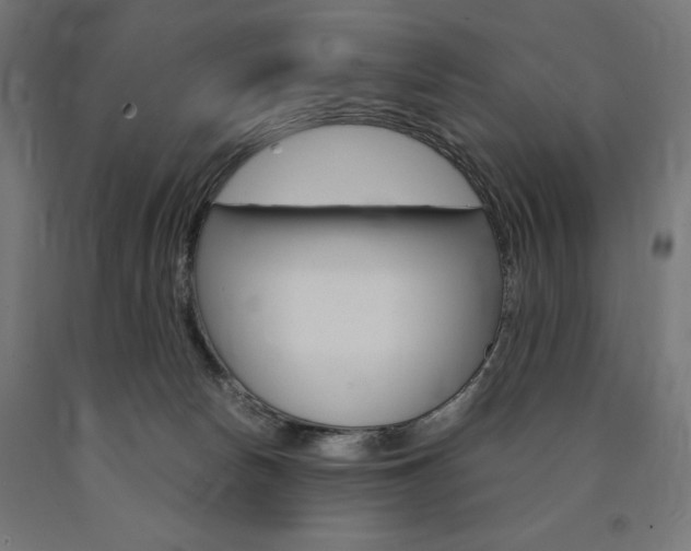 X0000091010178200708021414