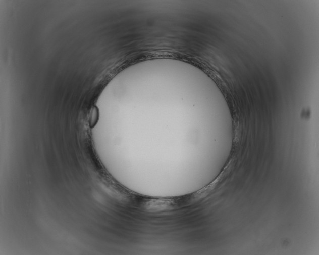 X0000091010179200708021414