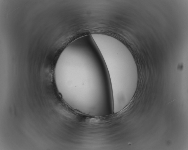 X0000091010180200708021414