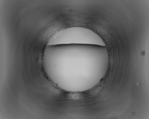 X0000091010181200708021414