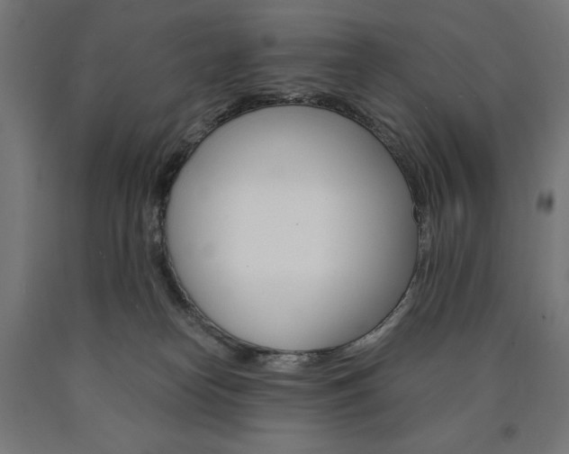 X0000091010182200708021414