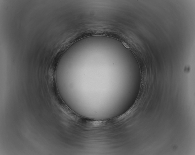 X0000091010184200708021414