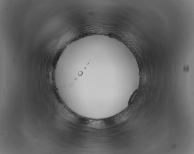 X0000091010185200708021414