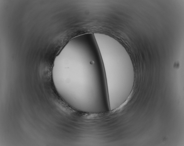 X0000091010186200708021414