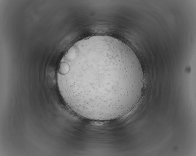 X0000091010187200708021414