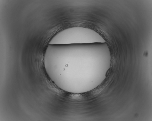 X0000091010189200708021414