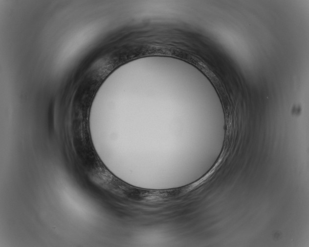 X0000091010191200708021414