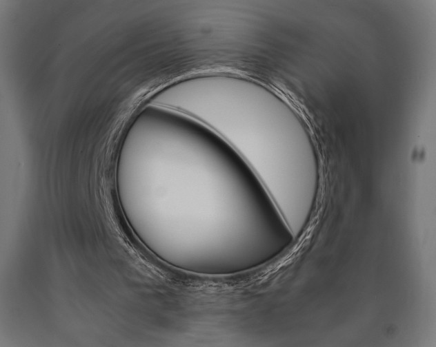 X0000091010193200708021413