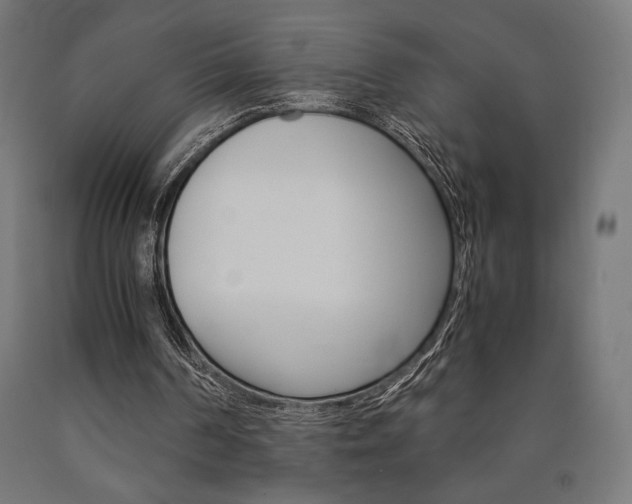 X0000091010194200708021413