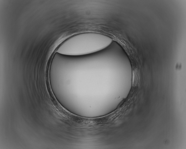 X0000091010195200708021413