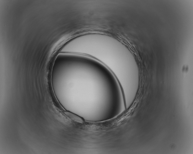 X0000091010197200708021413