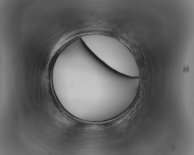 X0000091010198200708021413