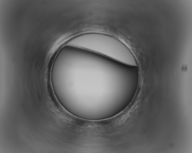 X0000091010199200708021413