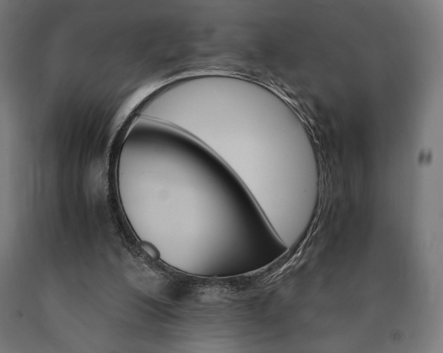 X0000091010200200708021413