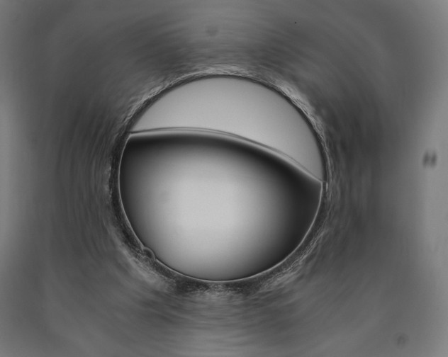 X0000091010201200708021413