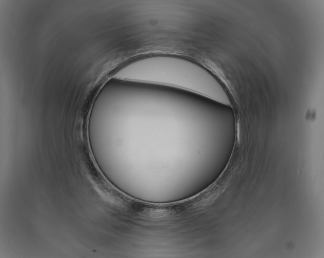 X0000091010205200708021413