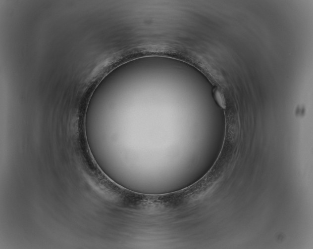 X0000091010207200708021413