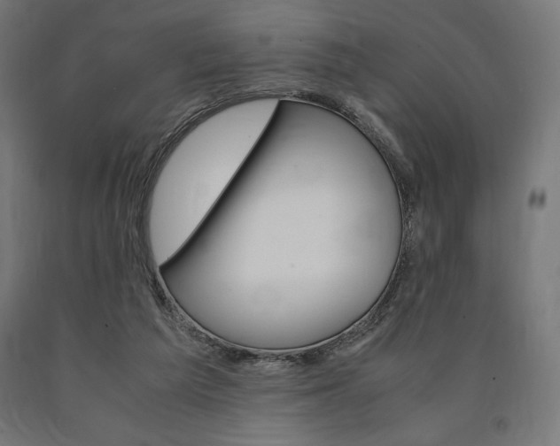 X0000091010209200708021413