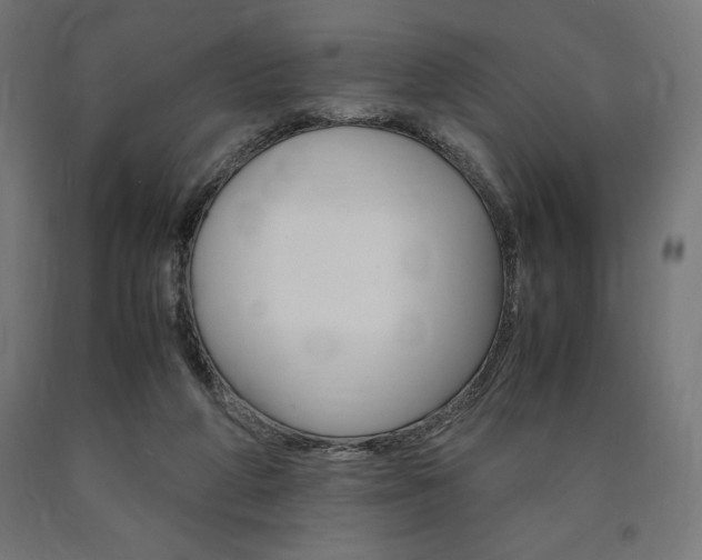 X0000091010210200708021413