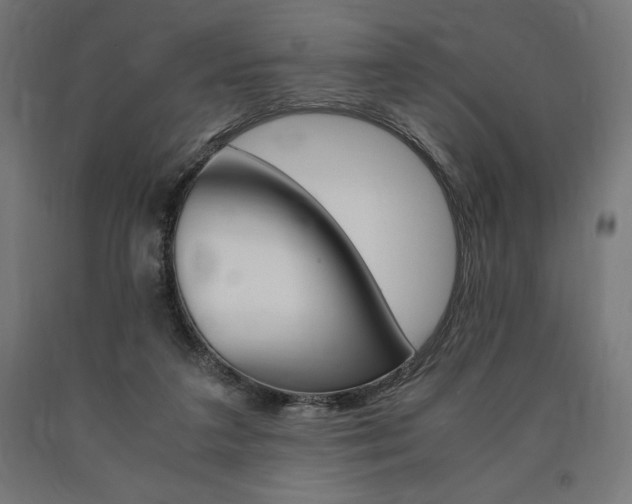 X0000091010211200708021413