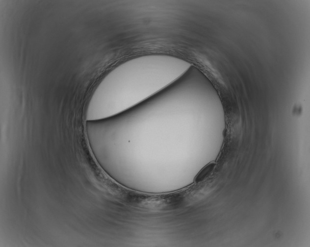 X0000091010213200708021413