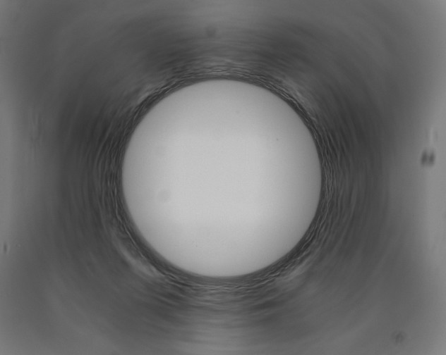 X0000091010215200708021413