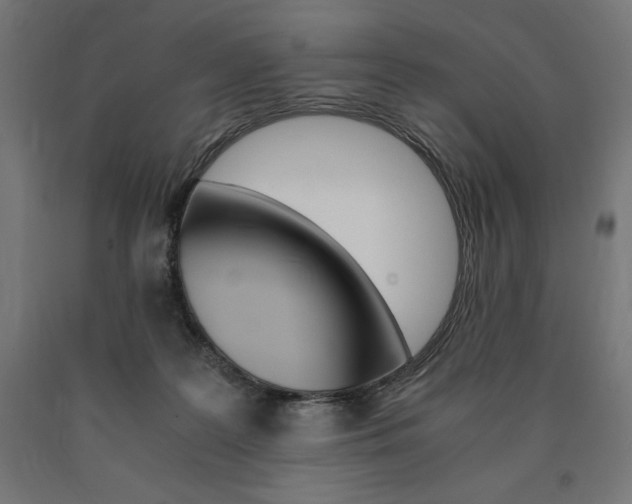 X0000091010219200708021413
