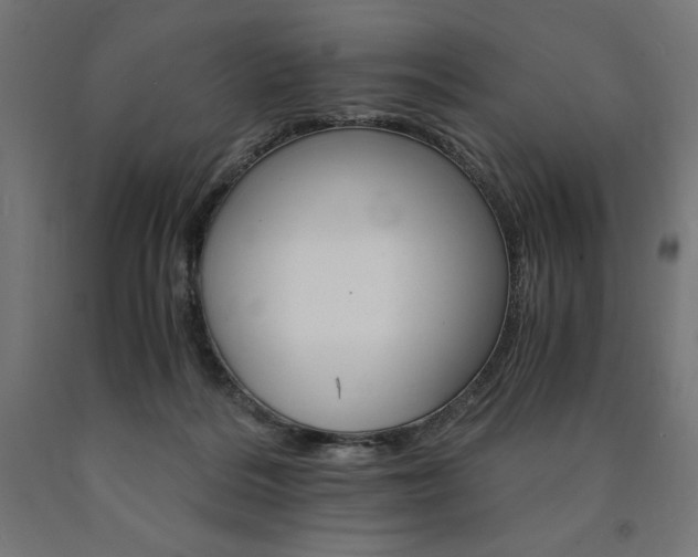 X0000091010220200708021413