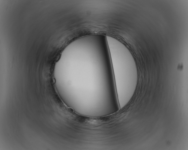 X0000091010221200708021413