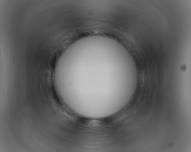 X0000091010222200708021413