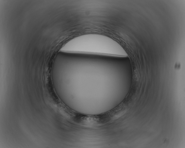 X0000091010223200708021413