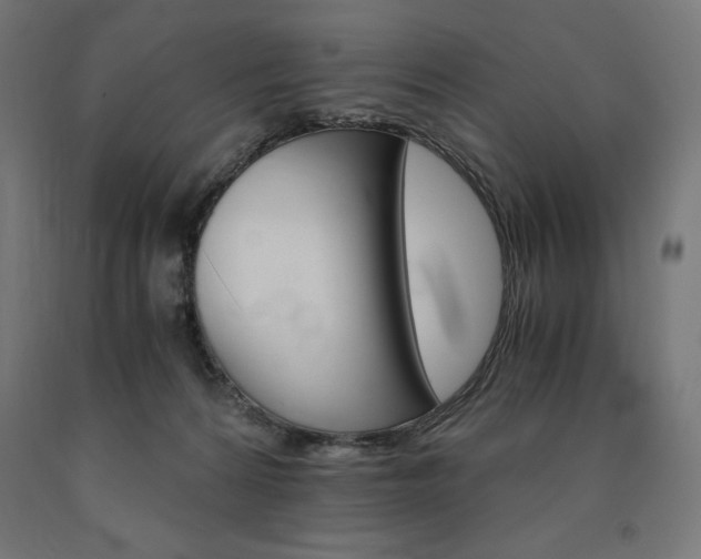 X0000091010224200708021413