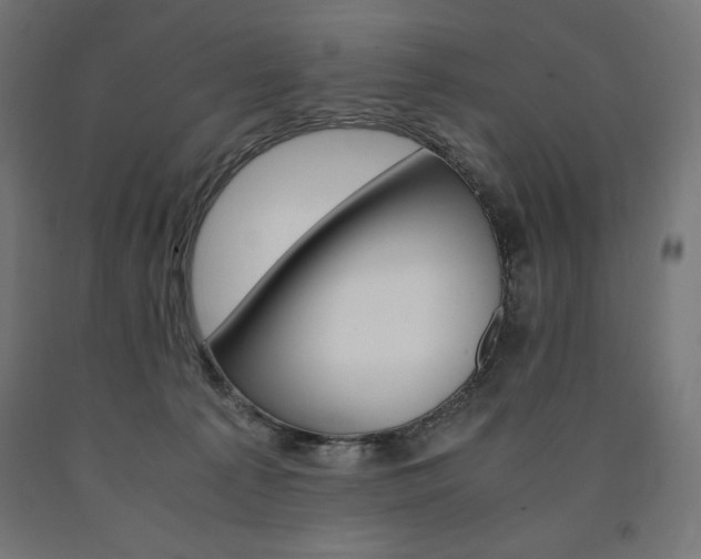 X0000091010225200708021413