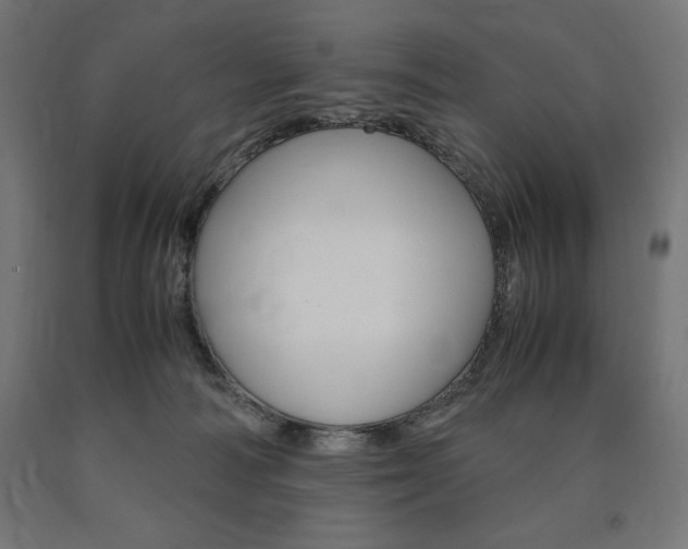 X0000091010226200708021413