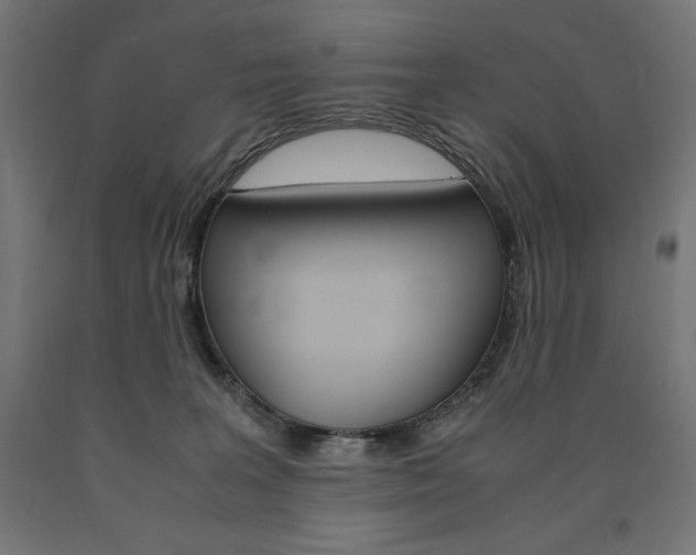 X0000091010227200708021413
