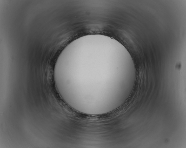 X0000091010228200708021413