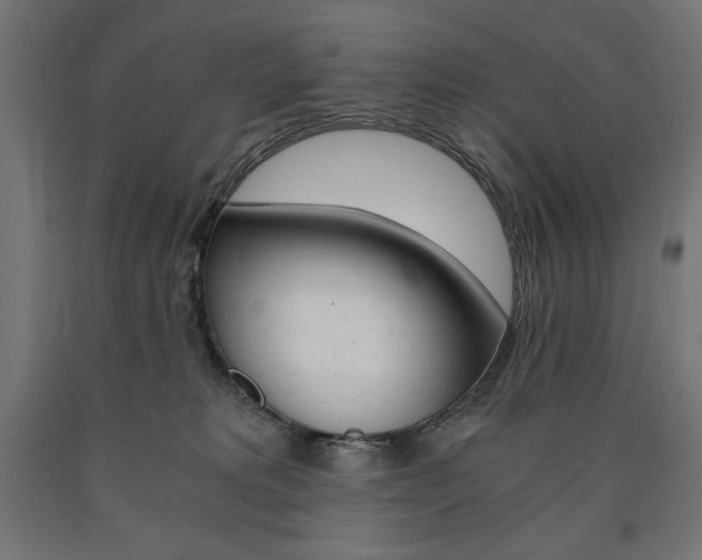 X0000091010229200708021413