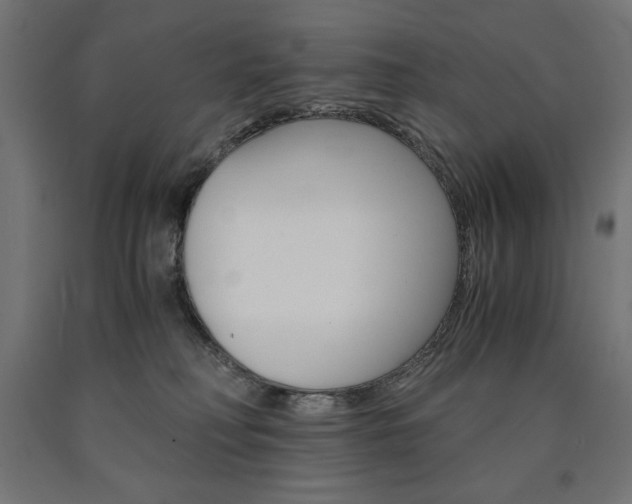 X0000091010230200708021413